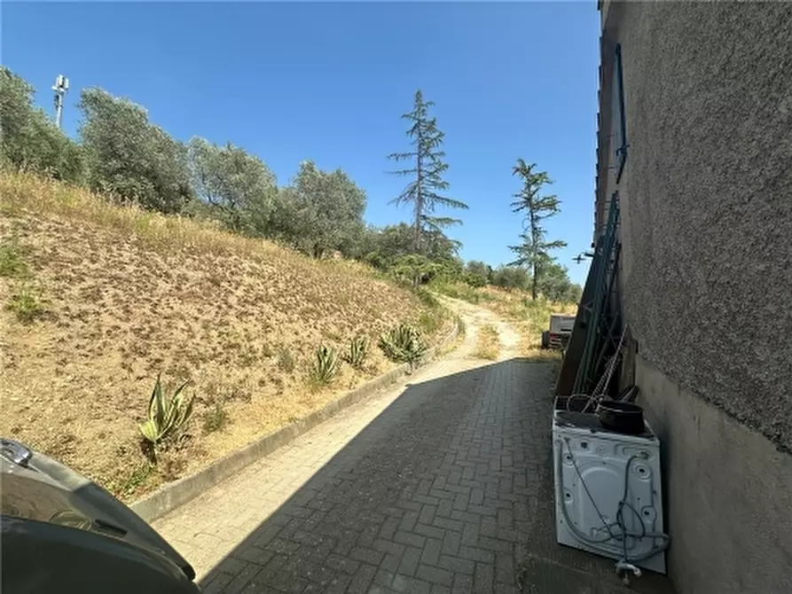 Immagine 9 di Rustico / casale in vendita  a Carmignano