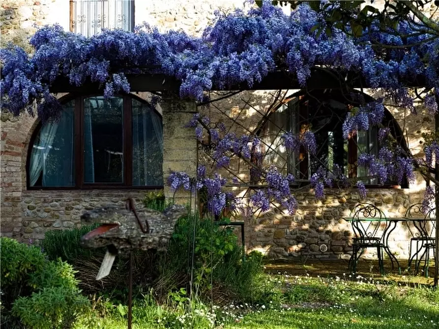 Immagine 13 di Rustico / casale in vendita  a Montelupo Fiorentino