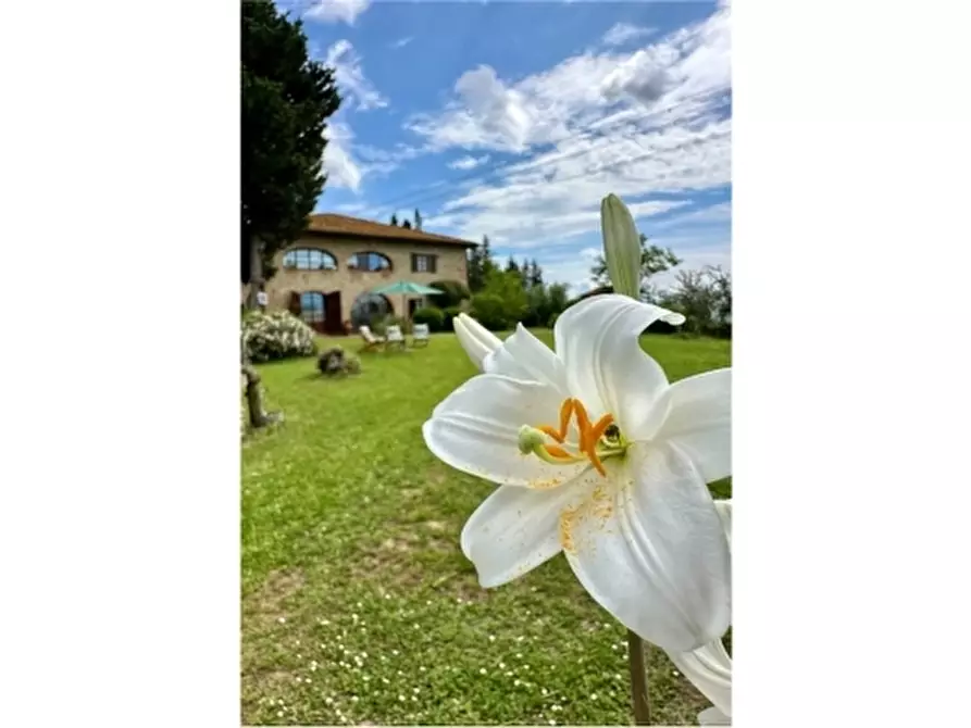 Immagine 3 di Rustico / casale in vendita  a Montespertoli