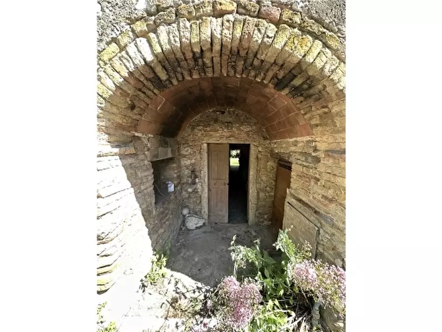 Immagine 1 di Rustico / casale in vendita  a San Gimignano