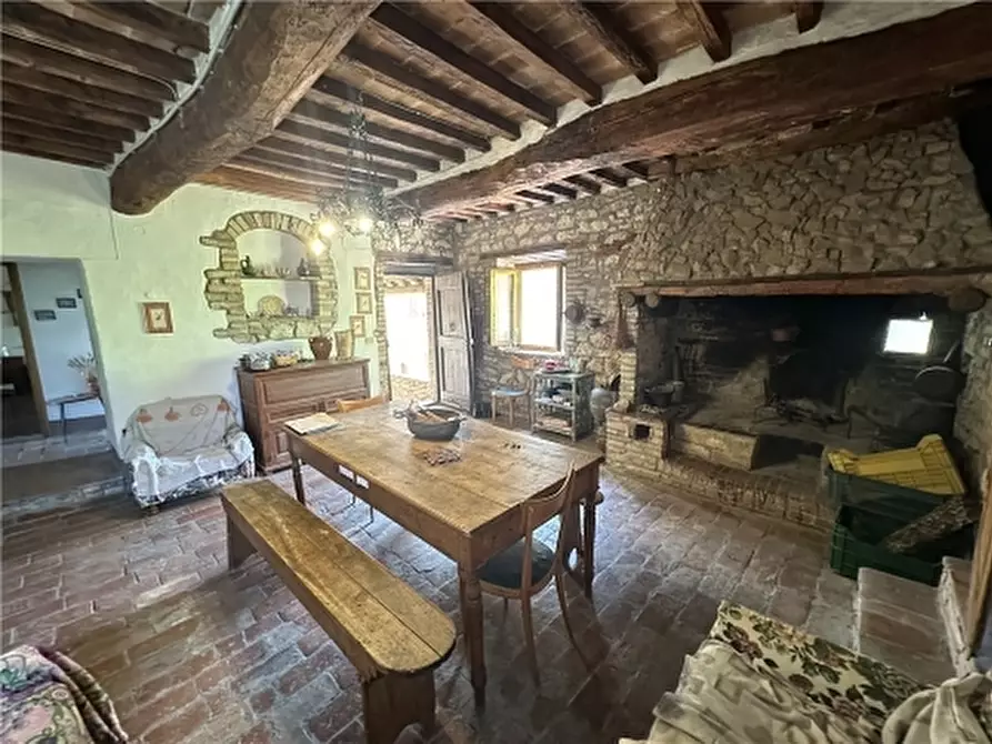 Immagine 16 di Rustico / casale in vendita  a San Gimignano