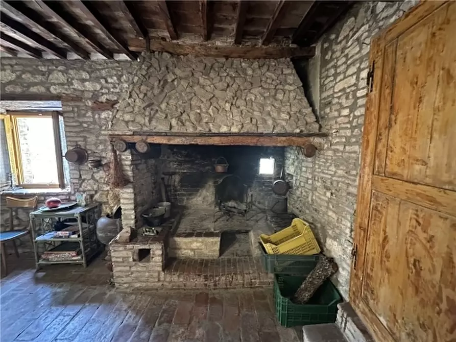 Immagine 17 di Rustico / casale in vendita  a San Gimignano