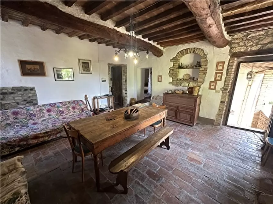 Immagine 18 di Rustico / casale in vendita  a San Gimignano