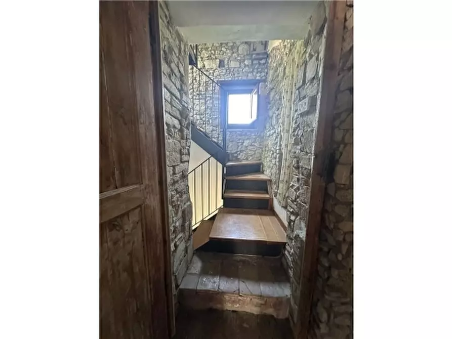 Immagine 31 di Rustico / casale in vendita  a San Gimignano