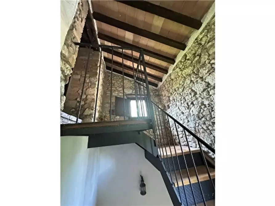 Immagine 32 di Rustico / casale in vendita  a San Gimignano