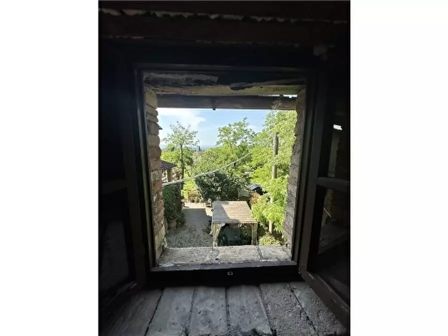 Immagine 37 di Rustico / casale in vendita  a San Gimignano