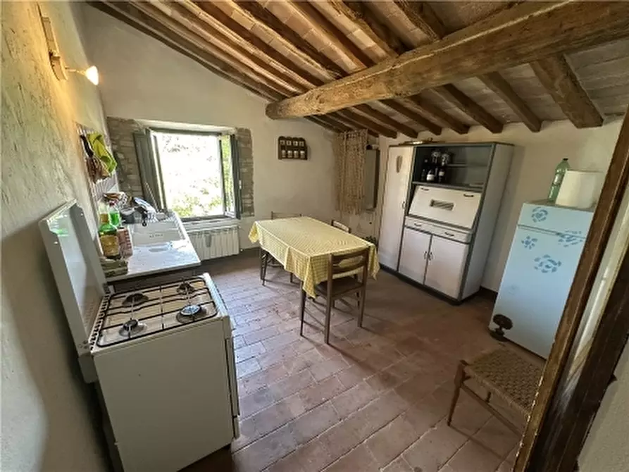 Immagine 39 di Rustico / casale in vendita  a San Gimignano