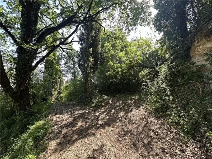 Immagine 49 di Rustico / casale in vendita  a San Gimignano
