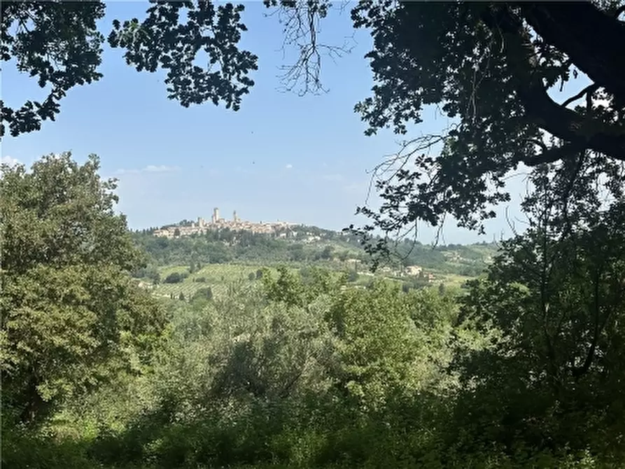 Immagine 50 di Rustico / casale in vendita  a San Gimignano