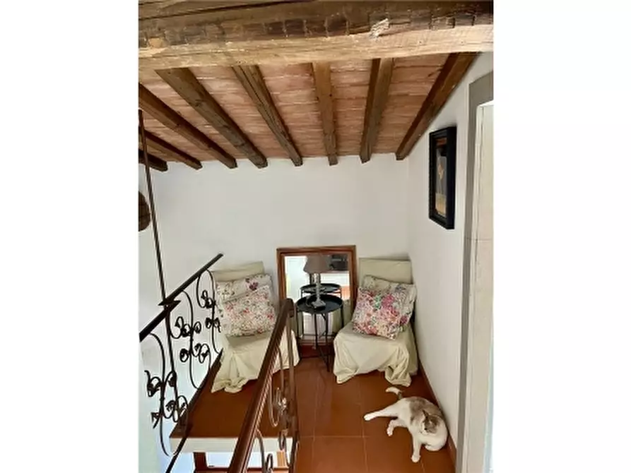 Immagine 47 di Rustico / casale in vendita  a Montespertoli