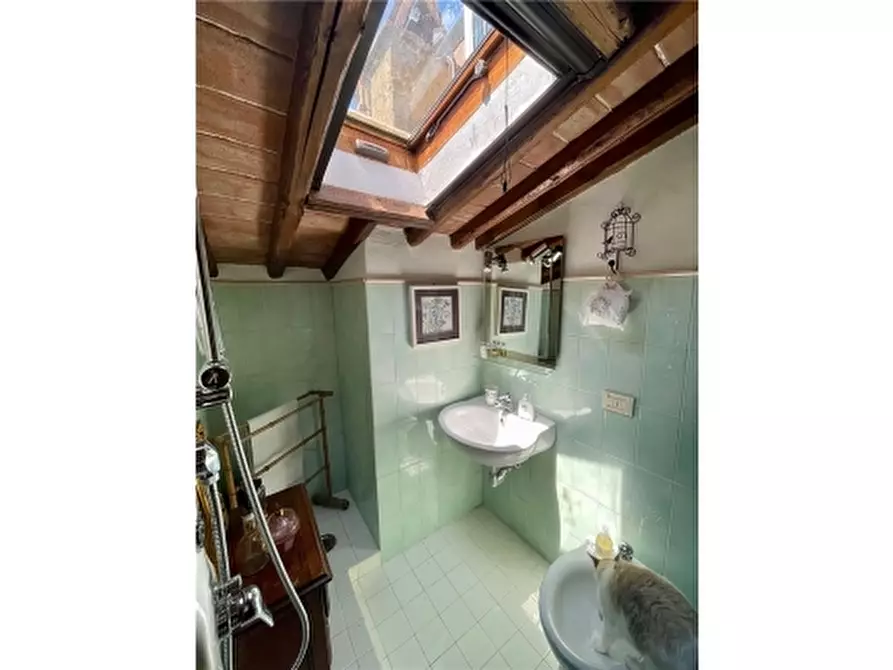 Immagine 51 di Rustico / casale in vendita  a Montespertoli