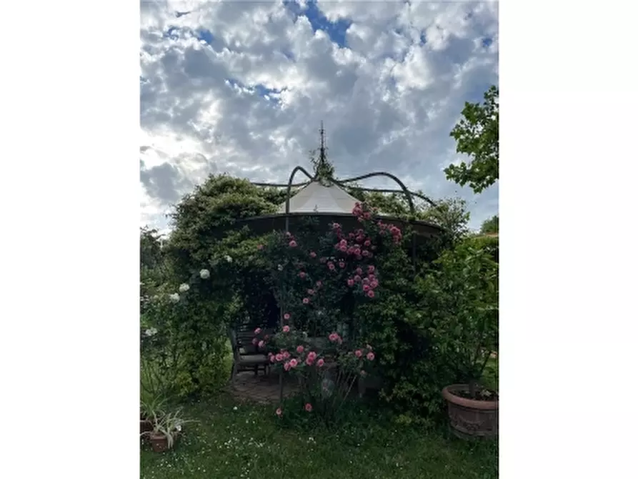 Immagine 61 di Rustico / casale in vendita  a Montespertoli