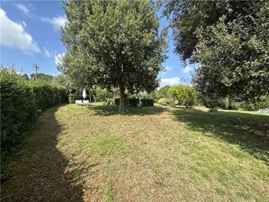 Immagine 68 di Rustico / casale in vendita  a Montespertoli