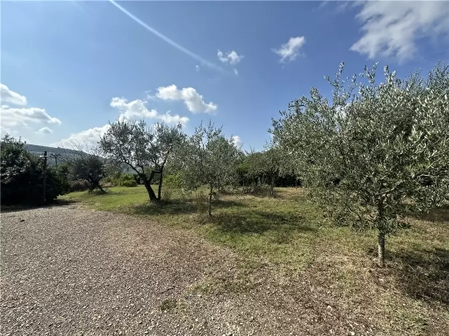 Immagine 80 di Rustico / casale in vendita  a Montespertoli