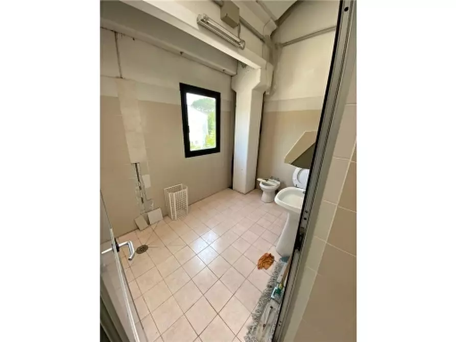 Immagine 7 di Magazzino in affitto  a Montespertoli