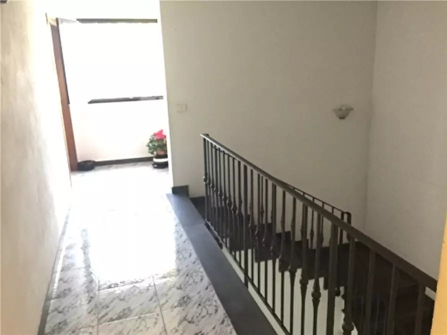 Immagine 5 di Magazzino in vendita  a Montespertoli