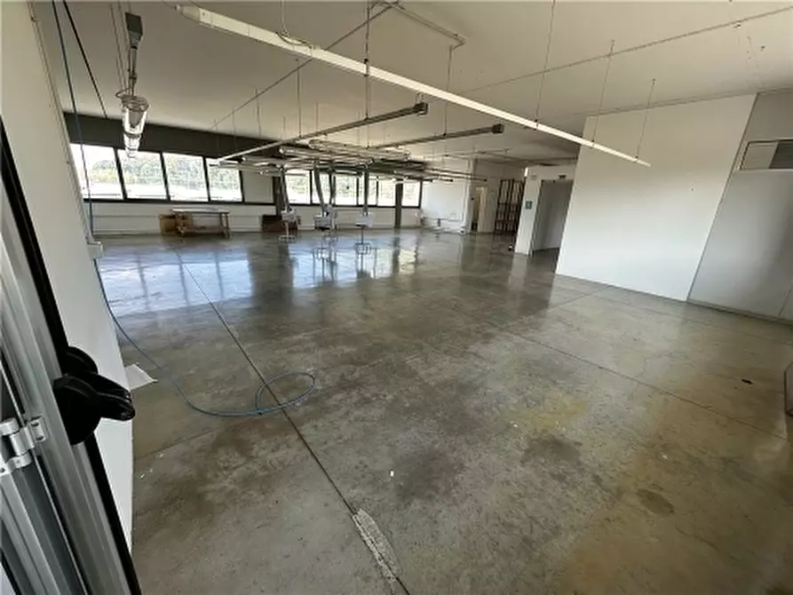 Immagine 5 di Magazzino in affitto  a Lastra A Signa