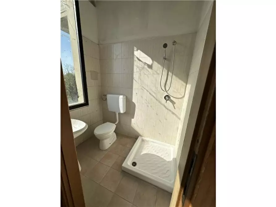 Immagine 14 di Magazzino in affitto  a Vinci