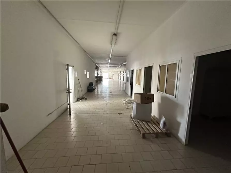 Immagine 8 di Magazzino in affitto  a Vinci