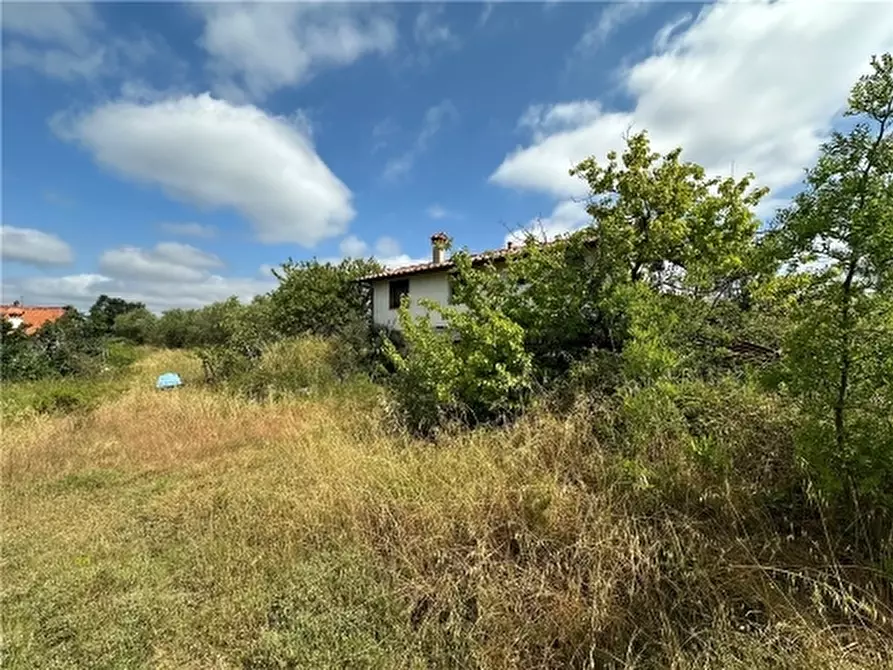 Immagine 4 di Appartamento in vendita  a Lastra A Signa