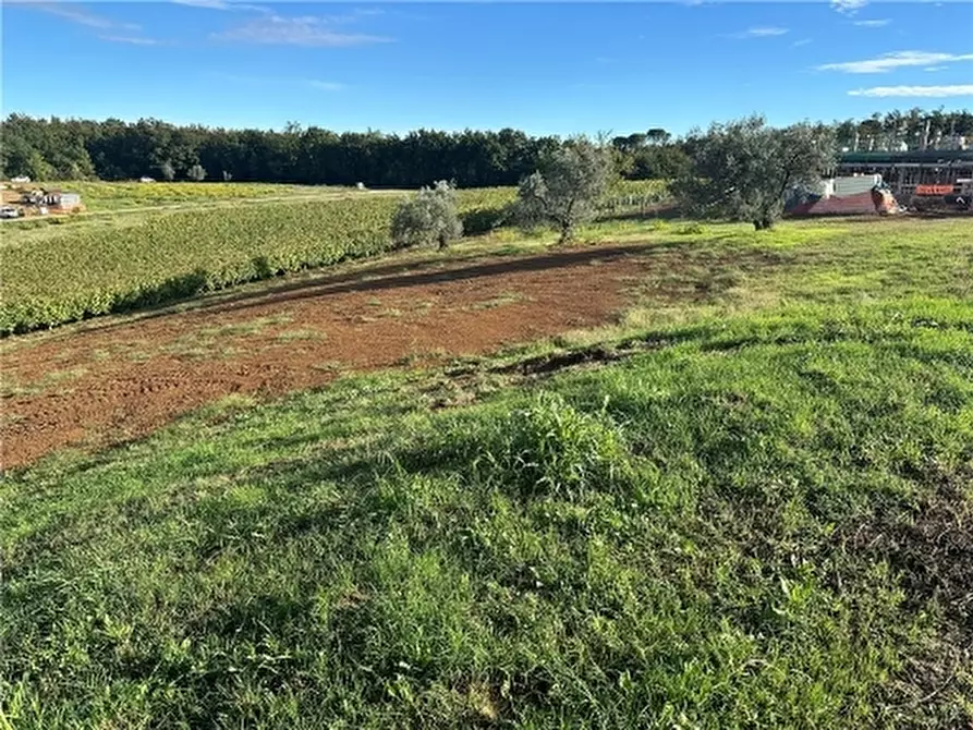 Immagine 1 di Appartamento in vendita  a Montelupo Fiorentino