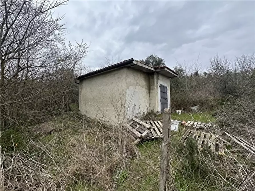 Immagine 11 di Appartamento in vendita  a Empoli