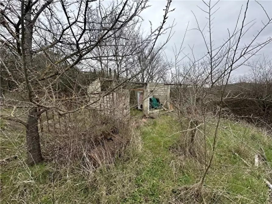 Immagine 14 di Appartamento in vendita  a Empoli