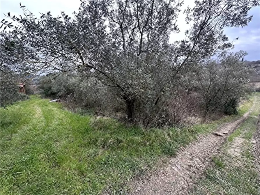 Immagine 16 di Appartamento in vendita  a Empoli