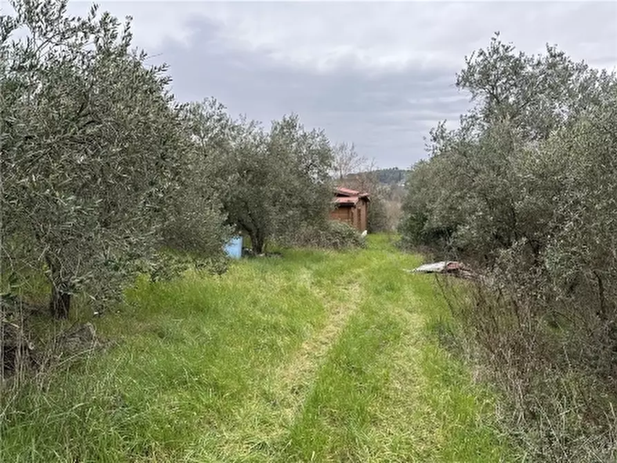 Immagine 17 di Appartamento in vendita  a Empoli