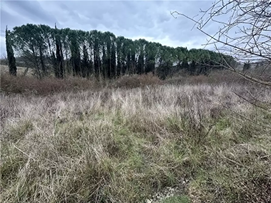 Immagine 18 di Appartamento in vendita  a Empoli