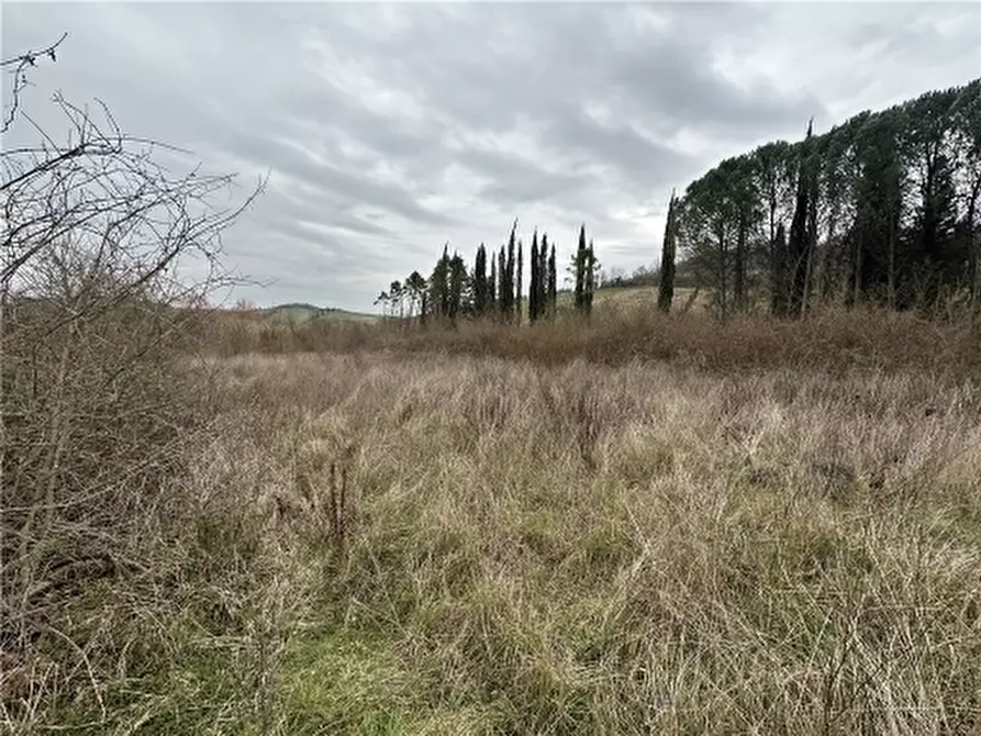 Immagine 20 di Appartamento in vendita  a Empoli