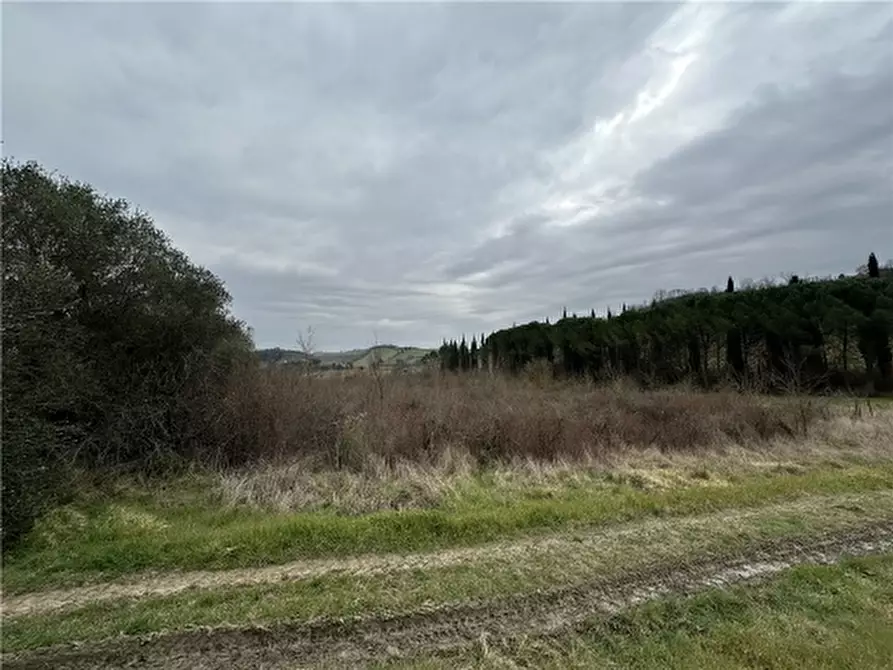 Immagine 21 di Appartamento in vendita  a Empoli