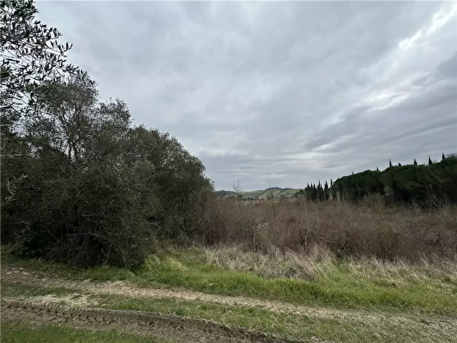 Immagine 22 di Appartamento in vendita  a Empoli