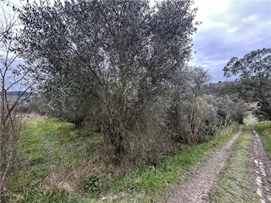 Immagine 23 di Appartamento in vendita  a Empoli