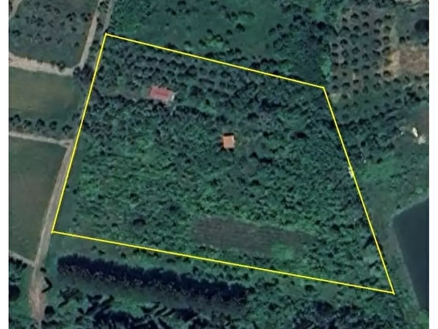 Immagine 24 di Appartamento in vendita  a Empoli