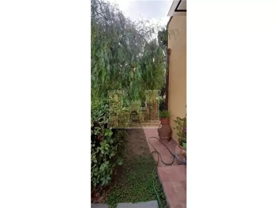 Immagine 13 di Appartamento in vendita  a Rosignano Marittimo