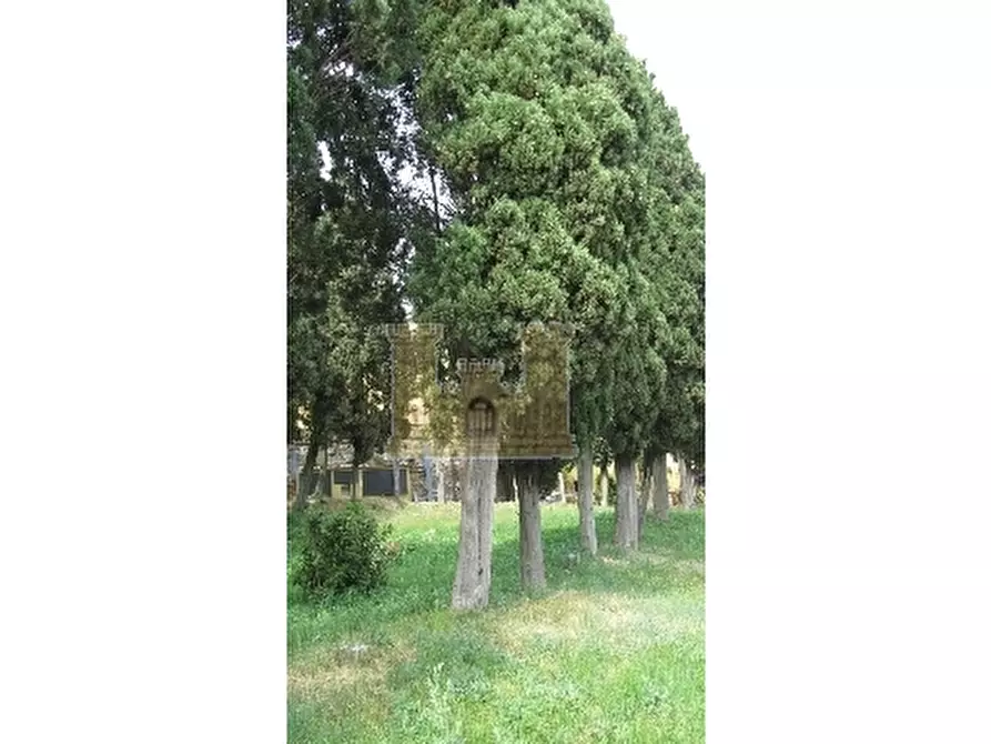 Immagine 16 di Appartamento in vendita  a Rosignano Marittimo