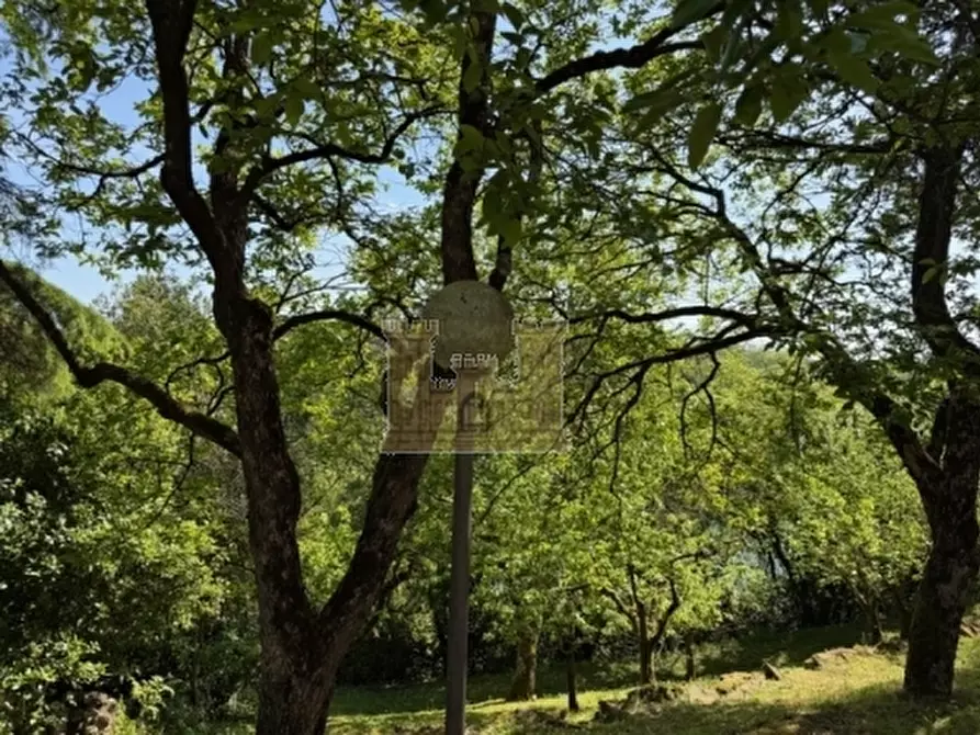 Immagine 38 di Villa in vendita  a Signa