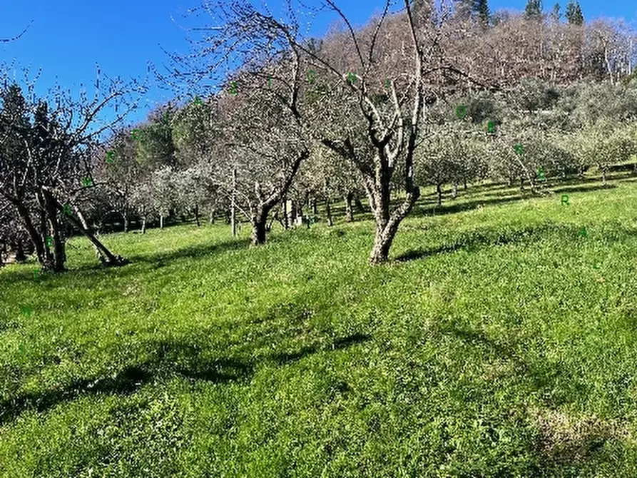 Immagine 5 di Appartamento in vendita  a Vicchio