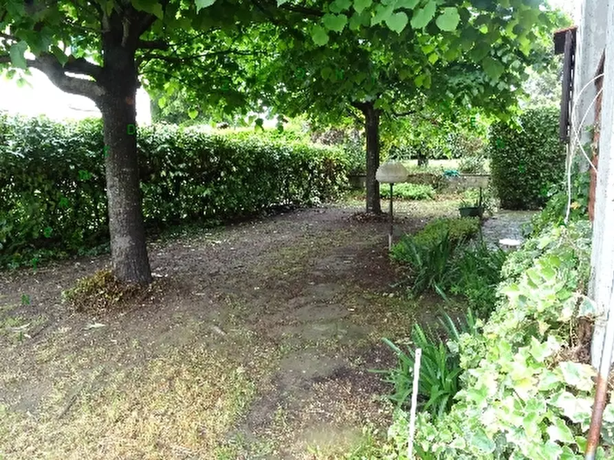 Immagine 5 di Appartamento in vendita  a Barberino Di Mugello