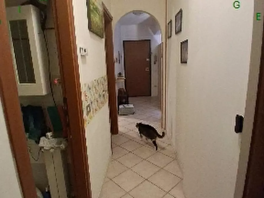 Immagine 3 di Appartamento in vendita  a Vicchio