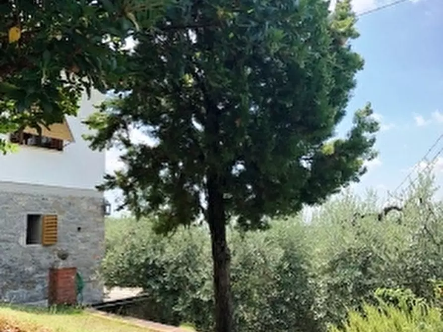 Immagine 6 di Villa in vendita  a Scarperia E San Piero