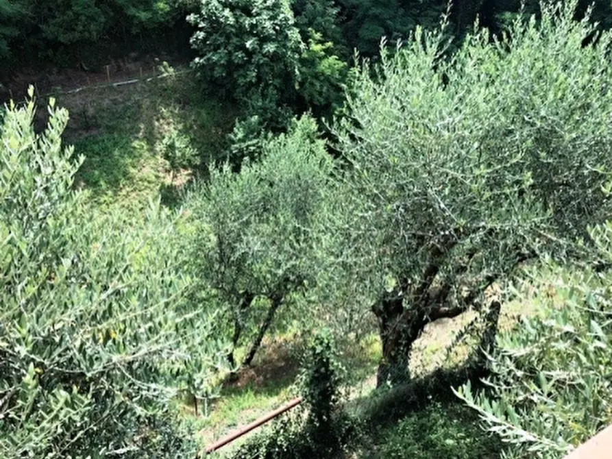 Immagine 8 di Villa in vendita  a Scarperia E San Piero