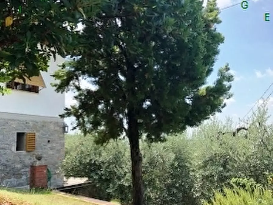 Immagine 14 di Villa in vendita  a Scarperia E San Piero