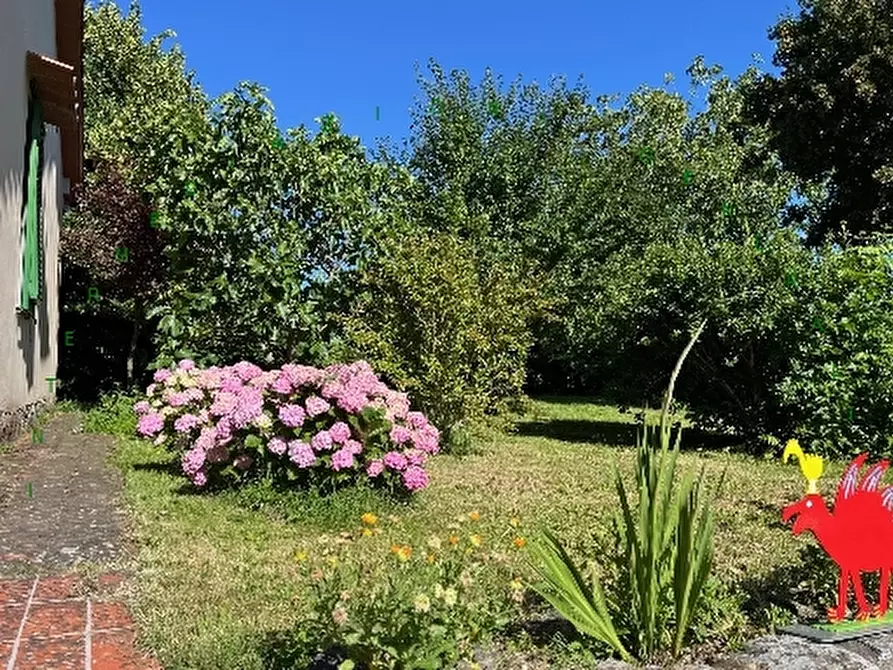 Immagine 5 di Villa in vendita  a Scarperia E San Piero