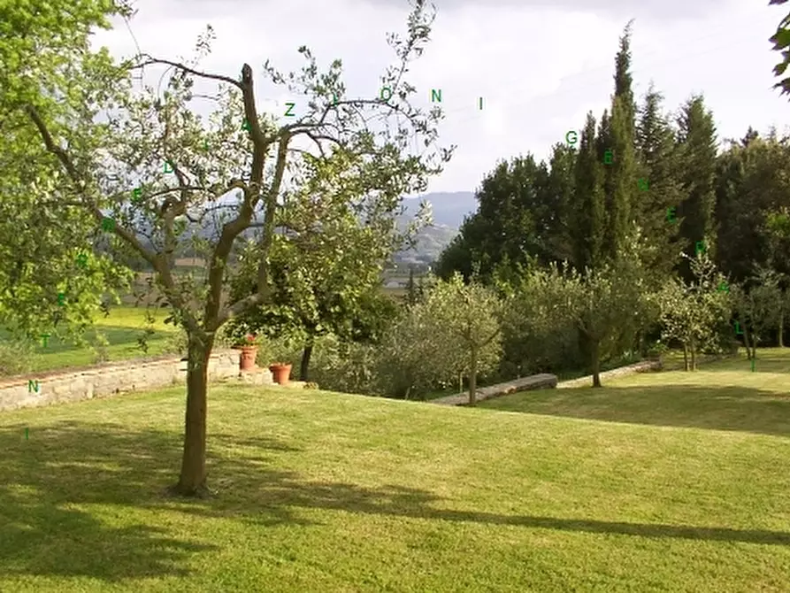 Immagine 7 di Rustico / casale in vendita  a Vicchio