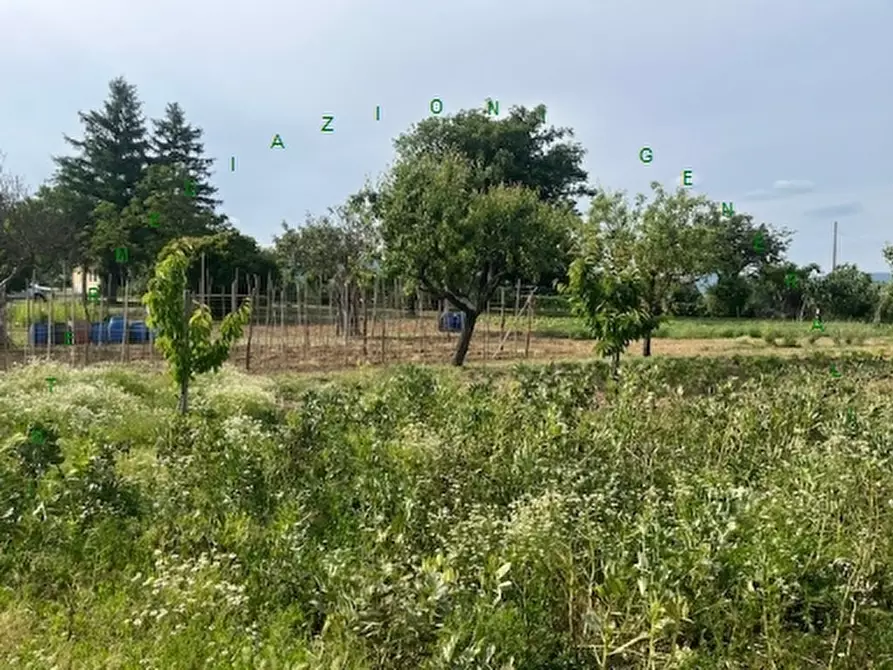 Immagine 2 di Rustico / casale in vendita  a Barberino Di Mugello
