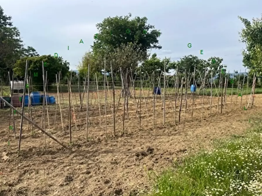 Immagine 6 di Rustico / casale in vendita  a Barberino Di Mugello