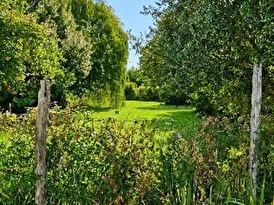 Immagine 3 di Rustico / casale in vendita  a Scarperia E San Piero