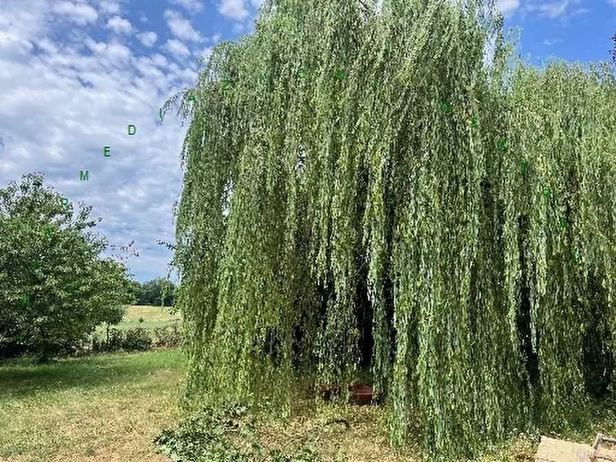 Immagine 4 di Rustico / casale in vendita  a Scarperia E San Piero